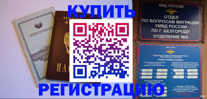 прописка гарантия в Павловске